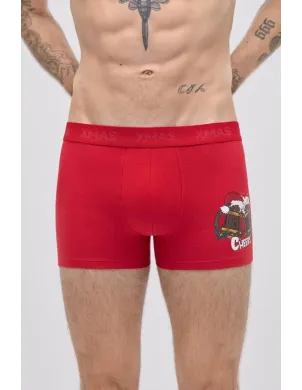 Boxer Cro Xmas