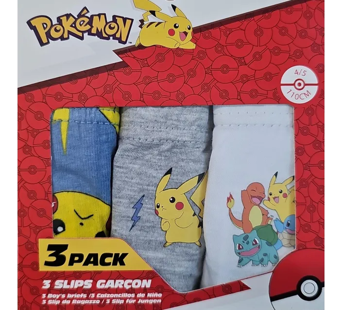 Pack 3 Slips Pokemon