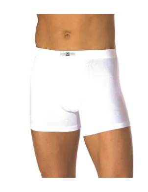 Boxer Cro 2